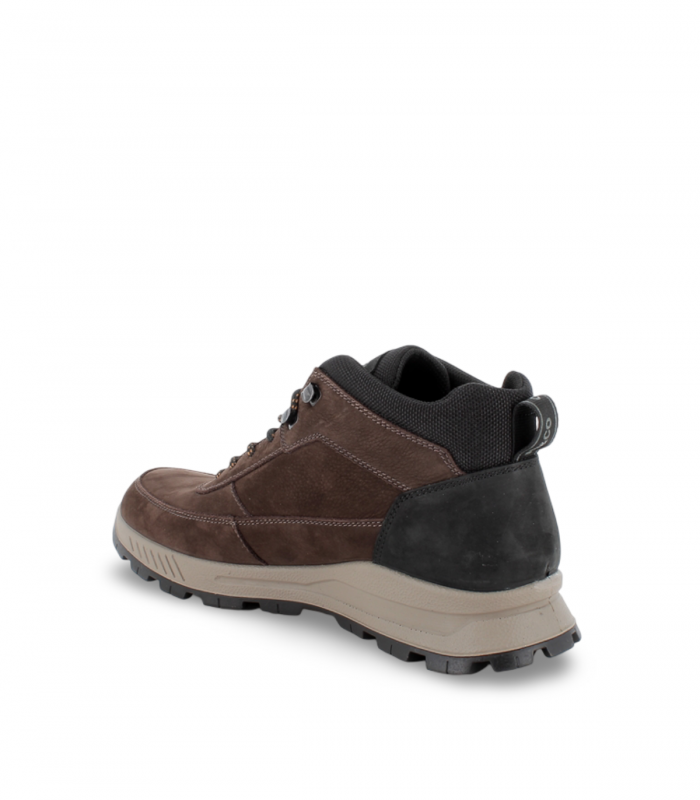 IGI&CO 8629600. Bota marrón en nobuck con Gore-Tex, perfecta para cualquier terreno