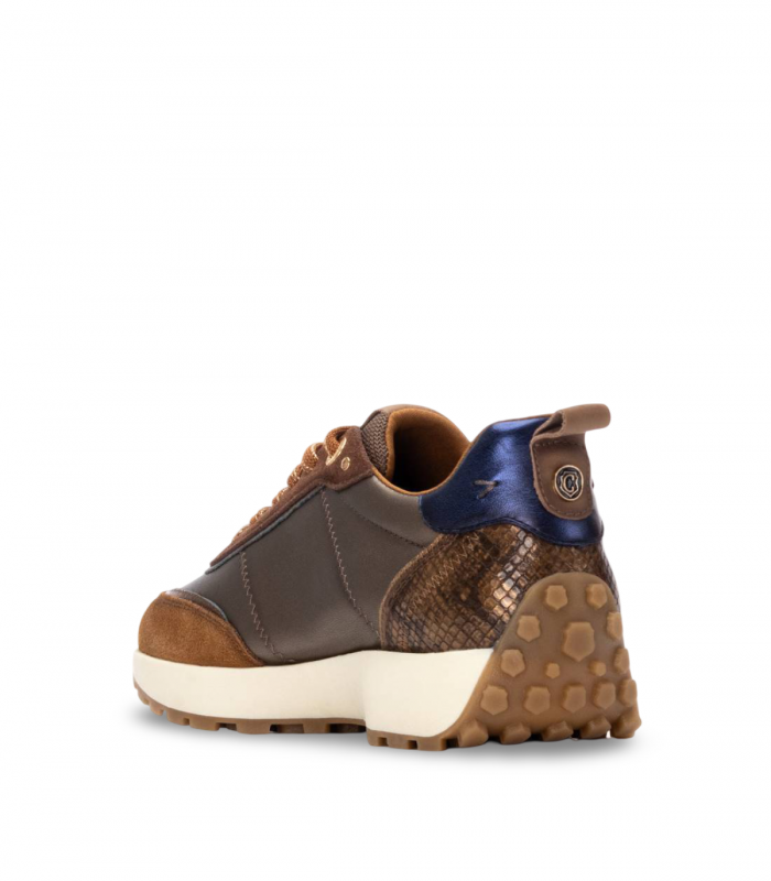 Deportivo camel mujer Carmela 162699