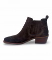 LOANA 7407